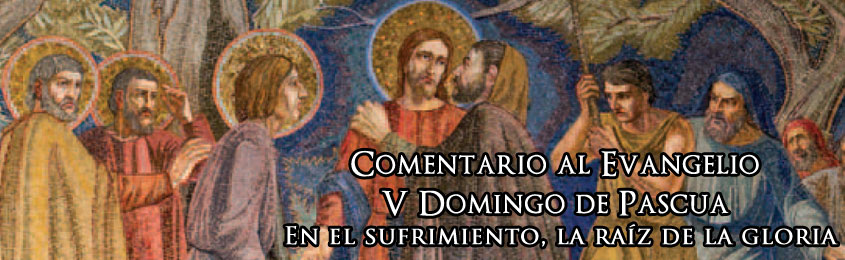 Comentario Al Evangelio V Domingo De Pascua En El Sufrimiento La